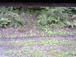 長野県菅平高原 ゆたか山荘 南側 2025/09/22 13:45