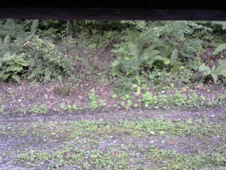長野県菅平高原 ゆたか山荘 南側 2025/09/22 14:30