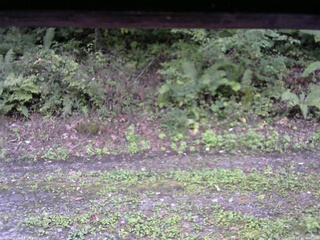 長野県菅平高原 ゆたか山荘 南側 2025/09/22 16:45