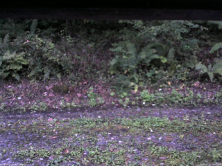 長野県菅平高原 ゆたか山荘 南側 2025/09/22 17:45