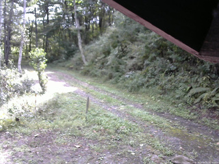 長野県菅平高原 ゆたか山荘 東側(坂下) 2025/09/22 09:30