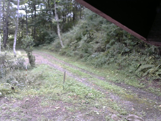 長野県菅平高原 ゆたか山荘 東側(坂下) 2025/09/22 10:45