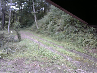 長野県菅平高原 ゆたか山荘 東側(坂下) 2025/09/22 12:30