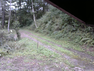 長野県菅平高原 ゆたか山荘 東側(坂下) 2025/09/22 15:00