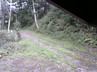 長野県菅平高原 ゆたか山荘 東側(坂下) 2025/09/22 15:45