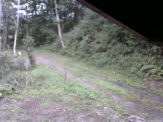 長野県菅平高原 ゆたか山荘 東側(坂下) 2025/09/22 16:45