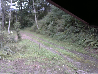 長野県菅平高原 ゆたか山荘 東側(坂下) 2025/09/22 17:00