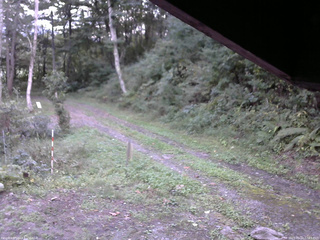 長野県菅平高原 ゆたか山荘 東側(坂下) 2025/09/22 17:15