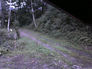 長野県菅平高原 ゆたか山荘 東側(坂下) 2025/09/22 17:45
