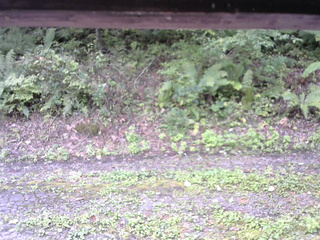 長野県菅平高原 ゆたか山荘 南側 2025/09/23 10:30