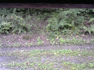 長野県菅平高原 ゆたか山荘 南側 2025/09/23 11:30
