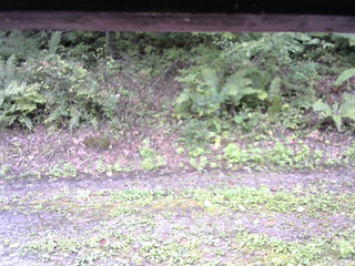 長野県菅平高原 ゆたか山荘 南側 2025/09/23 12:30