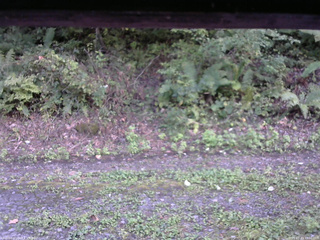長野県菅平高原 ゆたか山荘 南側 2025/09/23 15:00