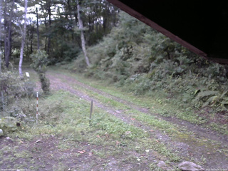 長野県菅平高原 ゆたか山荘 東側(坂下) 2025/09/23 06:15