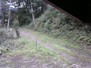 長野県菅平高原 ゆたか山荘 東側(坂下) 2025/09/23 07:00
