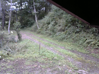 長野県菅平高原 ゆたか山荘 東側(坂下) 2025/09/23 07:15