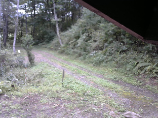 長野県菅平高原 ゆたか山荘 東側(坂下) 2025/09/23 07:30