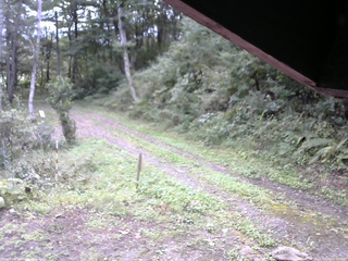 長野県菅平高原 ゆたか山荘 東側(坂下) 2025/09/23 07:45