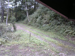 長野県菅平高原 ゆたか山荘 東側(坂下) 2025/09/23 08:15