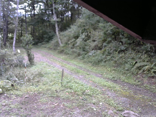 長野県菅平高原 ゆたか山荘 東側(坂下) 2025/09/23 09:00
