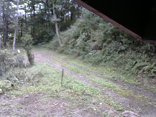 長野県菅平高原 ゆたか山荘 東側(坂下) 2025/09/23 09:15