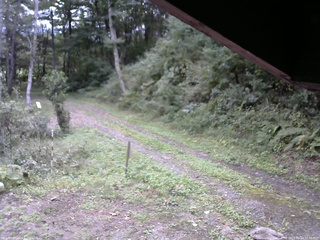 長野県菅平高原 ゆたか山荘 東側(坂下) 2025/09/23 10:00