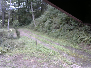 長野県菅平高原 ゆたか山荘 東側(坂下) 2025/09/23 11:30