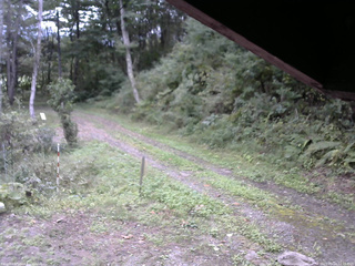 長野県菅平高原 ゆたか山荘 東側(坂下) 2025/09/23 12:15
