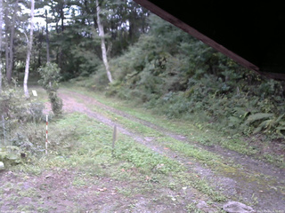 長野県菅平高原 ゆたか山荘 東側(坂下) 2025/09/23 14:30