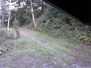 長野県菅平高原 ゆたか山荘 東側(坂下) 2025/09/23 15:00
