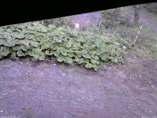 長野県菅平高原 ゆたか山荘 駐車場 2025/09/23 15:30
