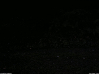 長野県菅平高原 ゆたか山荘 南側 2025/09/24 05:15
