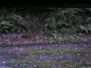長野県菅平高原 ゆたか山荘 南側 2025/09/24 17:45