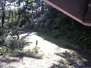 長野県菅平高原 ゆたか山荘 東側(坂下) 2025/09/24 08:15