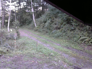 長野県菅平高原 ゆたか山荘 東側(坂下) 2025/09/24 16:30