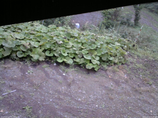 長野県菅平高原 ゆたか山荘 駐車場 2025/09/24 05:45