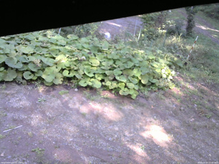 長野県菅平高原 ゆたか山荘 駐車場 2025/09/24 13:45
