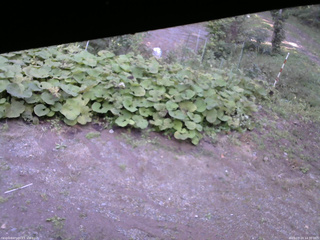 長野県菅平高原 ゆたか山荘 駐車場 2025/09/24 14:30