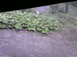 長野県菅平高原 ゆたか山荘 駐車場 2025/09/24 15:00