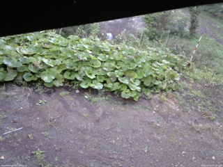 長野県菅平高原 ゆたか山荘 駐車場 2025/09/25 07:15