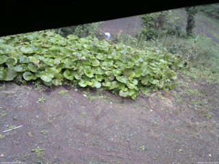 長野県菅平高原 ゆたか山荘 駐車場 2025/09/25 13:15