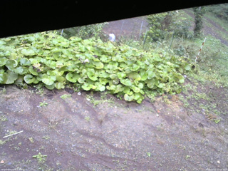 長野県菅平高原 ゆたか山荘 駐車場 2025/09/25 14:30
