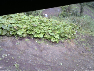長野県菅平高原 ゆたか山荘 駐車場 2025/09/25 15:15