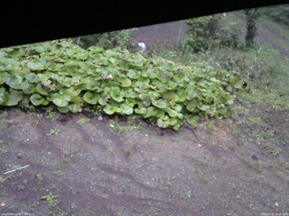 長野県菅平高原 ゆたか山荘 駐車場 2025/09/25 16:45