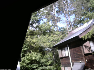 長野県菅平高原 ゆたか山荘 北側 2025/09/26 13:30