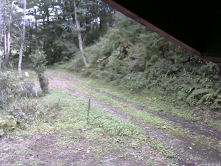 長野県菅平高原 ゆたか山荘 東側(坂下) 2025/09/26 13:45