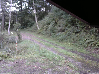 長野県菅平高原 ゆたか山荘 東側(坂下) 2025/09/26 16:45