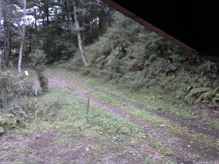 長野県菅平高原 ゆたか山荘 東側(坂下) 2025/09/26 17:15