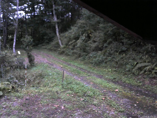 長野県菅平高原 ゆたか山荘 東側(坂下) 2025/09/26 17:30