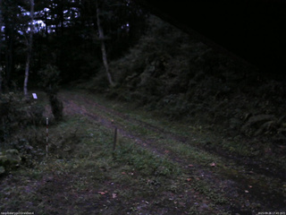 長野県菅平高原 ゆたか山荘 東側(坂下) 2025/09/26 17:45